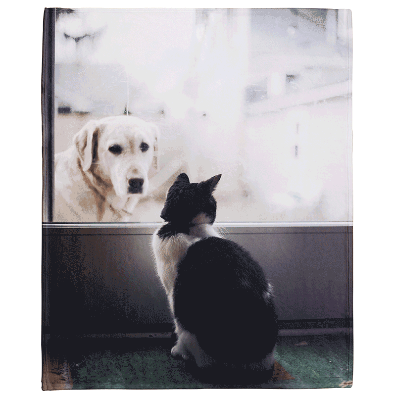 White Blanket22 cat sublimation blanket