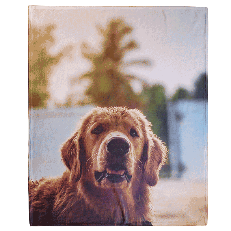 White Blanket23 dog prinred blanket